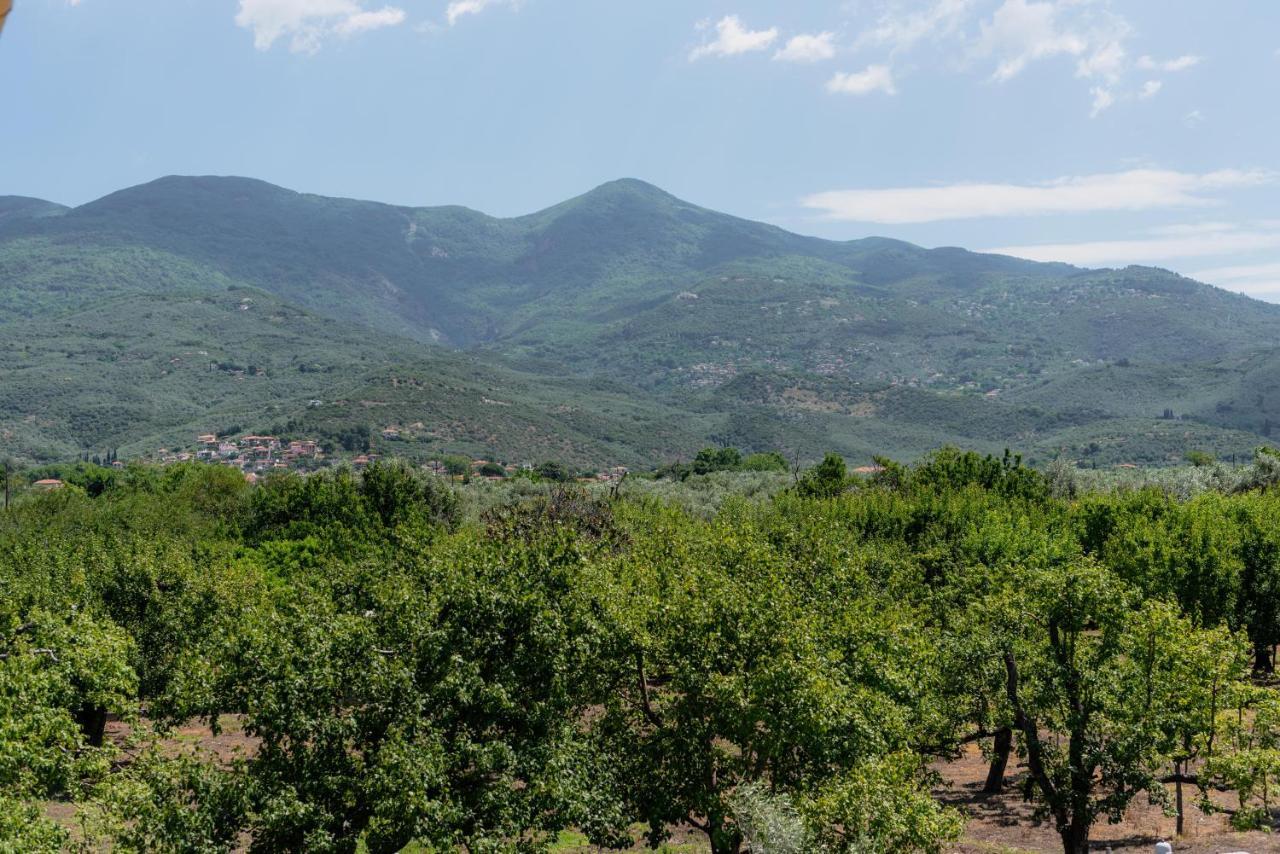 Karavos Grove Villa Káto Lekhónia Bagian luar foto